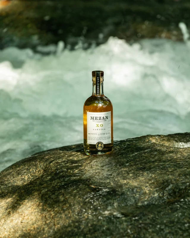 A Jamaican symphony of flavors, flowing as naturally as the island's waterfalls. Mezan Jamaica XO delivers layers of tropical fruit and spice that cascade like the waters of Jamaica’s lush landscapes 🥃🌴. Let the adventure begin with every sip. ​

#MezanRum #JamaicaXO #WaterfallVibes #IslandCraft #JamaicanSpirit