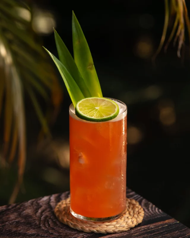 Behind every great rum cocktail is a skilled bartender who knows how to enhance the natural beauty of Mezan Rum. From classic daiquiris to innovative creations, they bring out the best in every drop 🍸🍹. ​

#MezanRum #BartenderCraft #RumCocktails #MixologyArt #CraftedPerfection